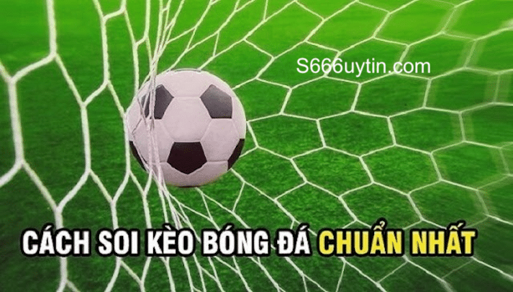 cách đọc tỷ lệ theo bao bóng đá